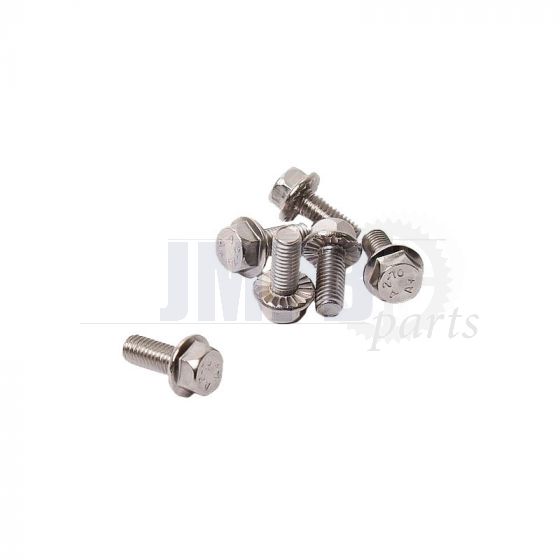 Flange bolt SS Toothed M6X10 Din 6921