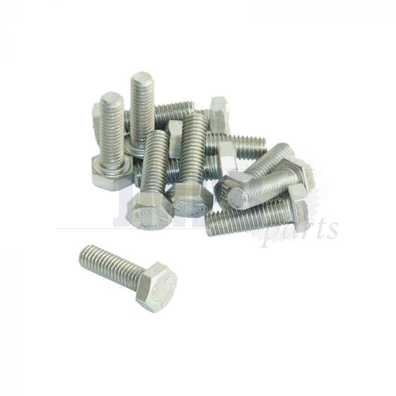 Hex bolt M6X20 SS Din 933