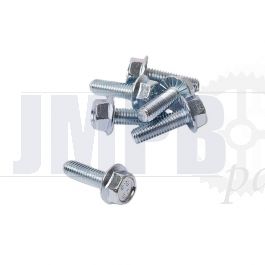 Flange bolt Galvanized Toothed M6X20 Din 6921