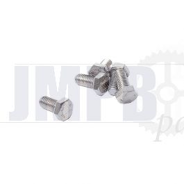 Hex bolt M6X12 SS Din 933