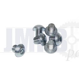 Low head screw M8 X 8 Allen RVS