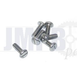 Pan Cylinder head screw Slotted SS M6X12