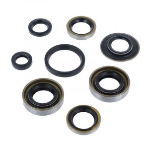 Seal set Sachs 3/4 Gears Pedal Start