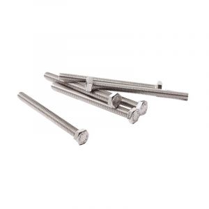 Hex bolt M6X70 SS Din 933