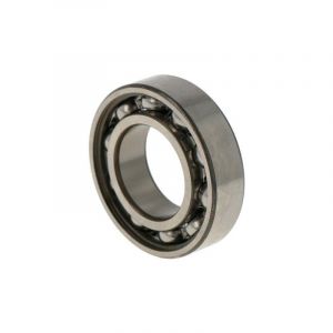 Bearing 6005 C3 SKF