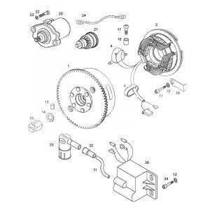 Ignition With Pick-Up /  Start engine Tomos Standard