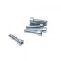 Allen bolt M5X20 Galvanized Din 912