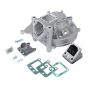 Crankcase Apart Simonini 07 + Intake set Malossi