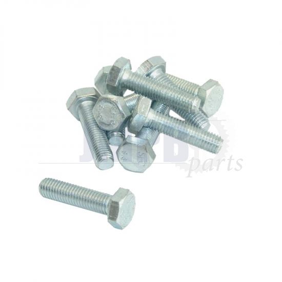 Hex bolt M10X40 Galvanized Din 933