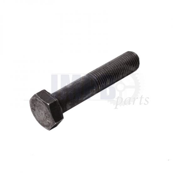 Hex bolt M12X1,25X70 Din 960